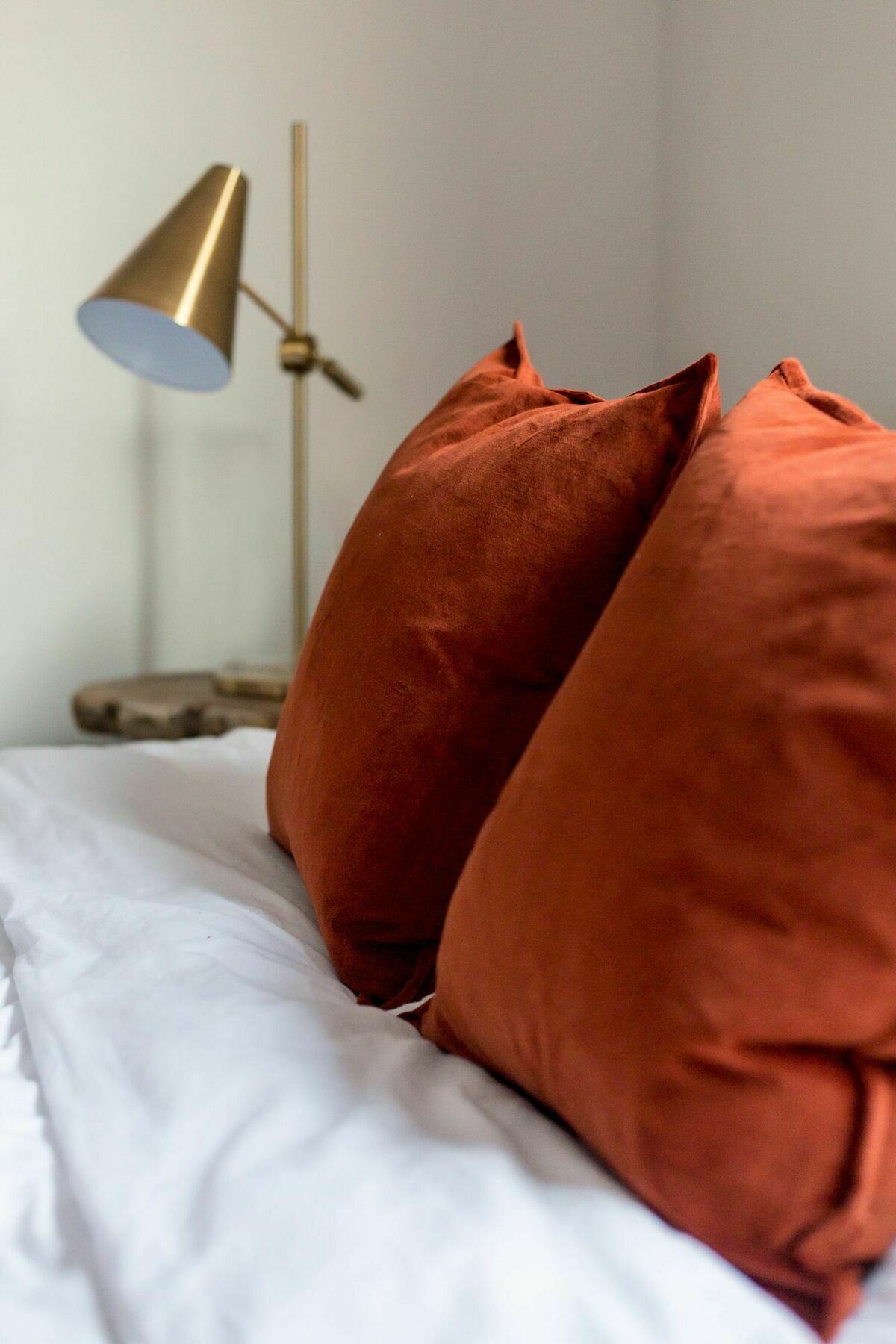 Posh 2br In North Park By Sonder Apartment *